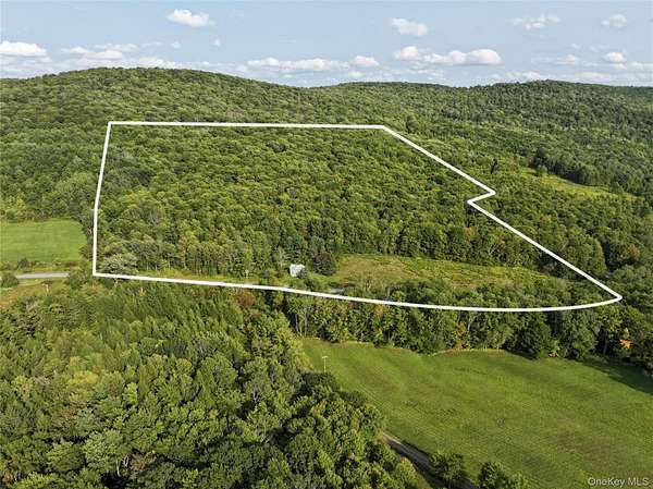 46.8 Acres of Land for Sale in Walton, New York
