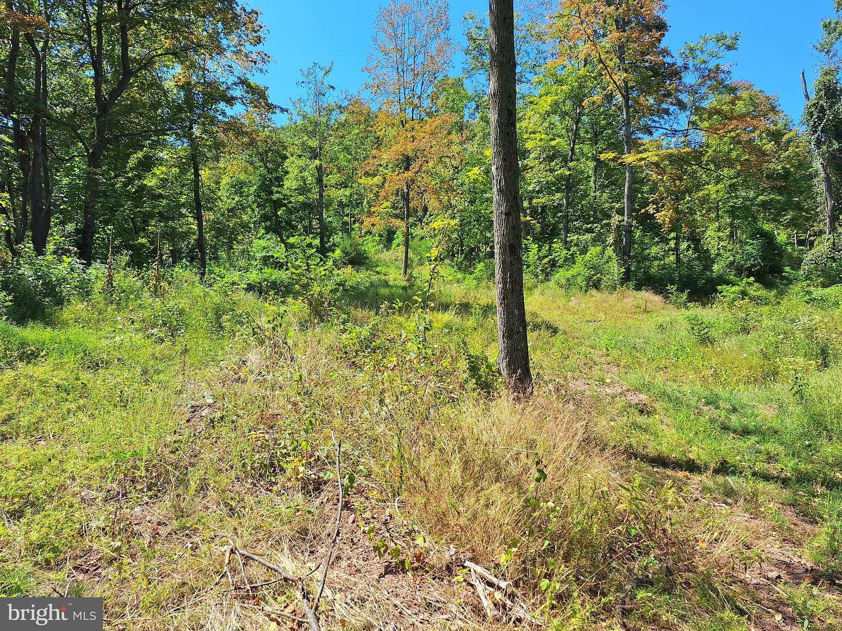 211 Acres of Recreational Land for Sale in Hyndman, Pennsylvania