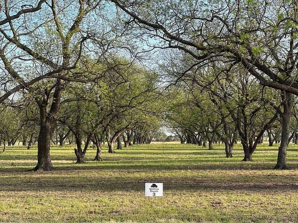 10 Acres of Land for Sale in De Leon, Texas