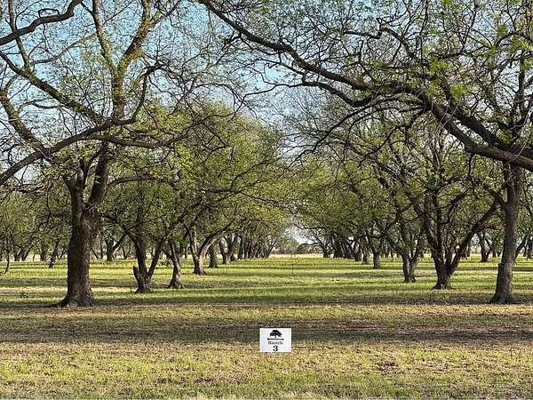 10 Acres of Land for Sale in De Leon, Texas