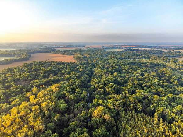 124 Acres of Recreational Land for Sale in Kingsville, Missouri