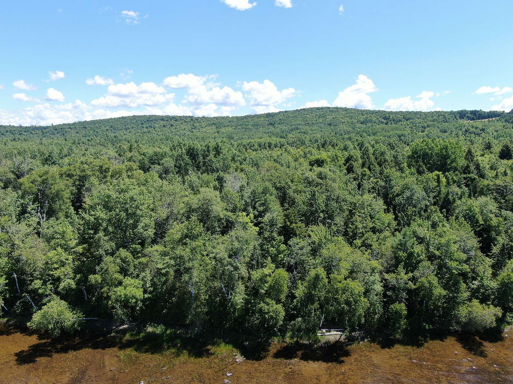1.1 Acres of Land for Sale in Danforth, Maine