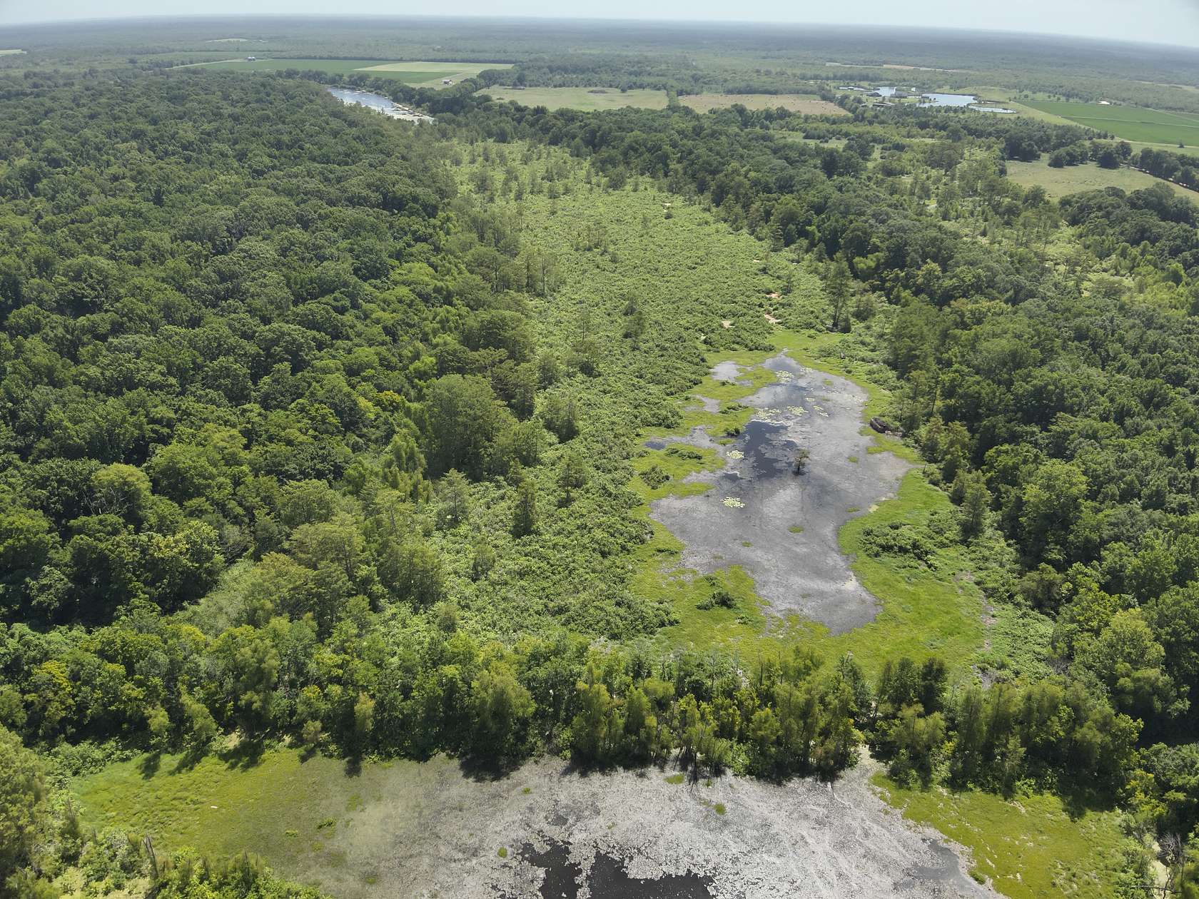 86.7 Acres of Recreational Land & Farm for Sale in Lewisville, Arkansas