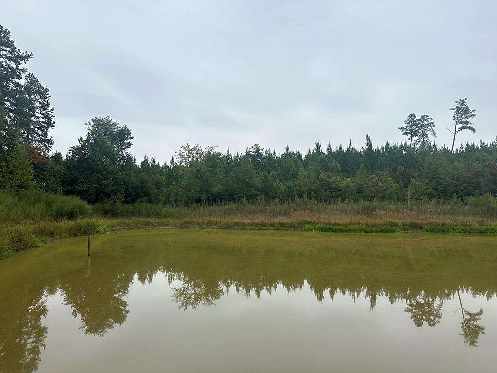 122 Acres of Land for Sale in Drakes Branch, Virginia