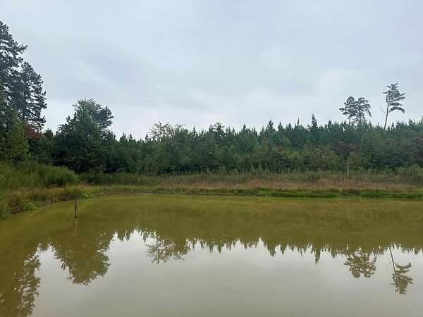 122 Acres of Land for Sale in Drakes Branch, Virginia