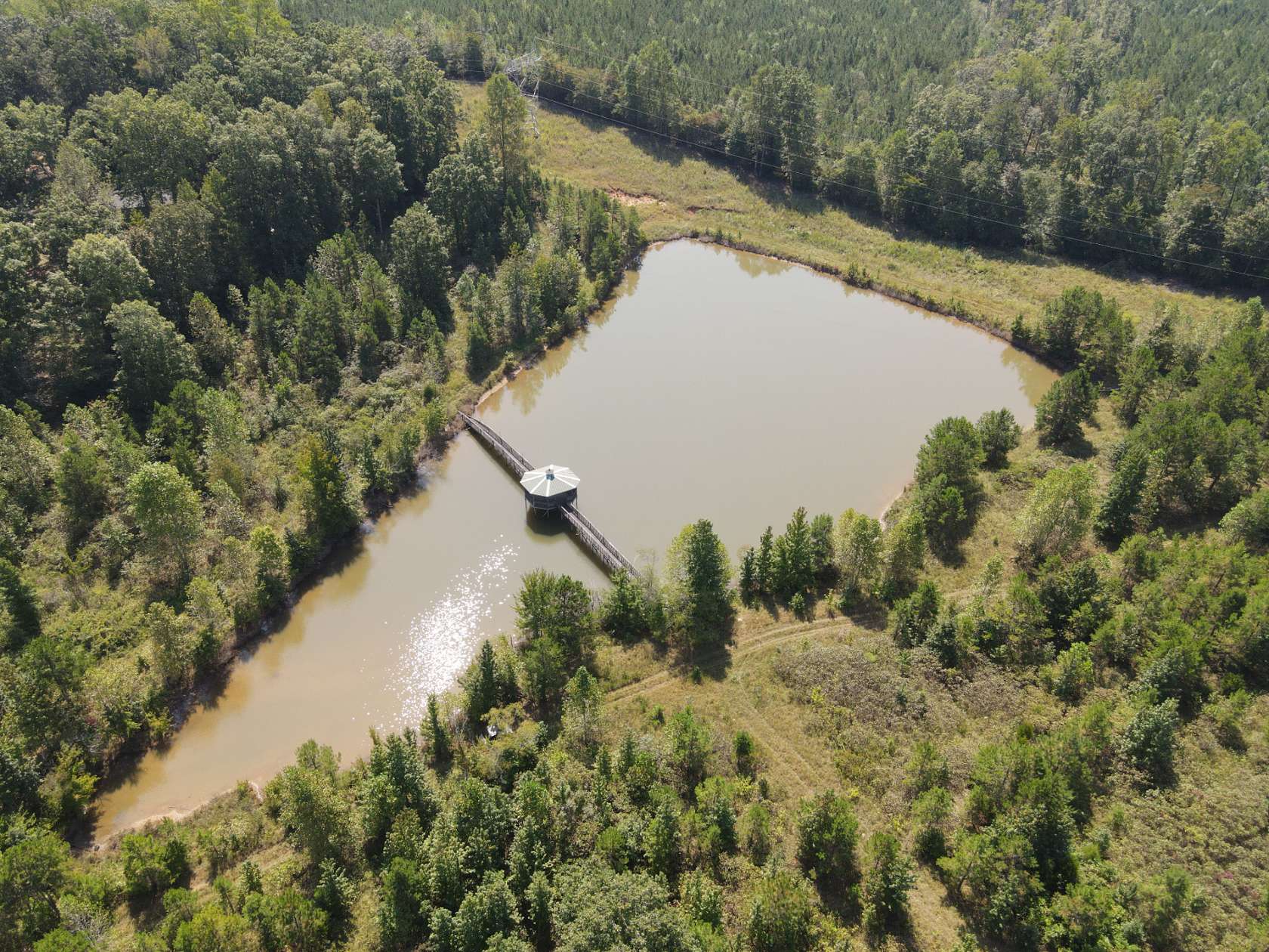 40.6 Acres of Land for Sale in Savannah, Tennessee