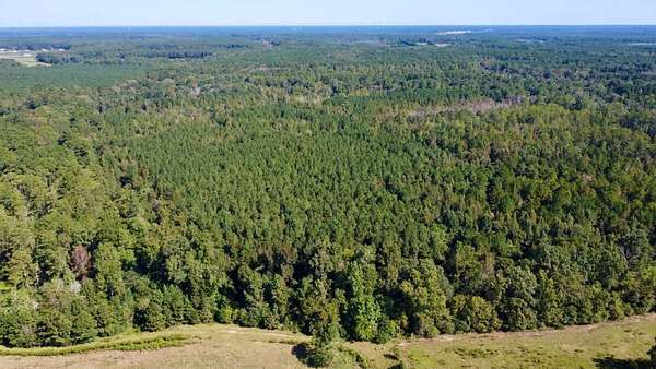 41.4 Acres of Recreational Land for Sale in Bunnlevel, North Carolina