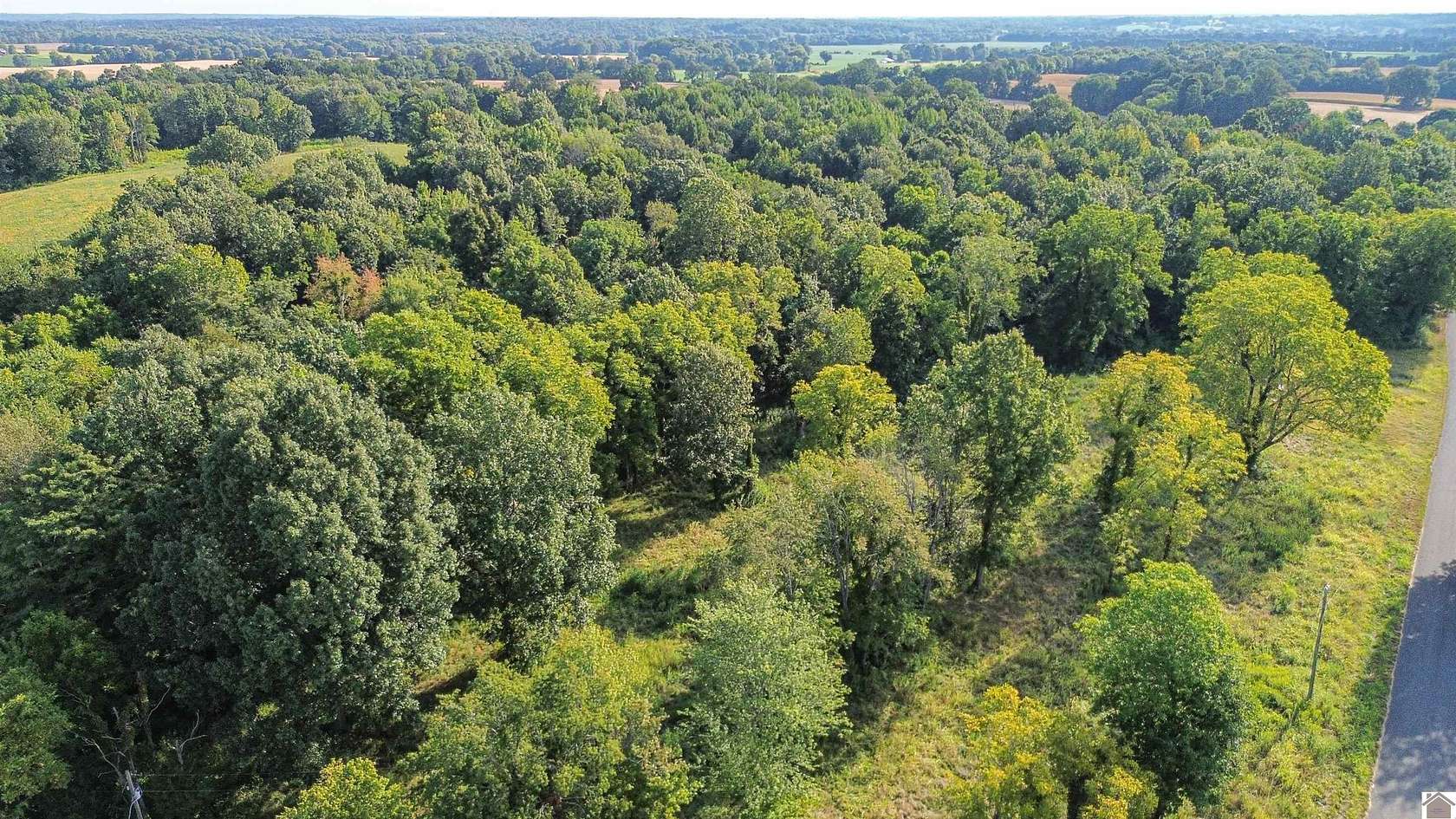 11.8 Acres of Land for Sale in Bardwell, Kentucky