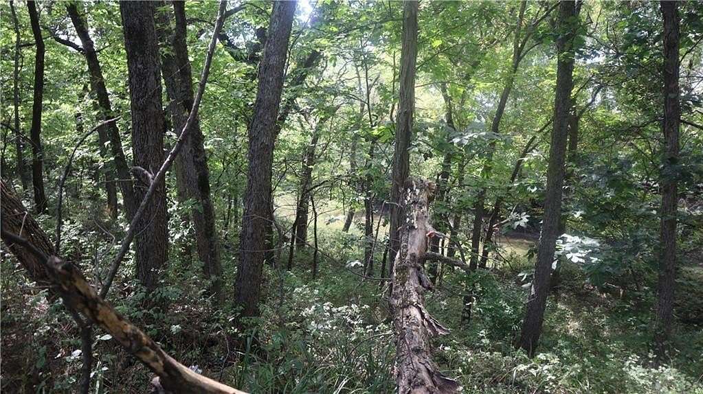 19.6 Acres of Recreational Land for Sale in Princeton, Kansas