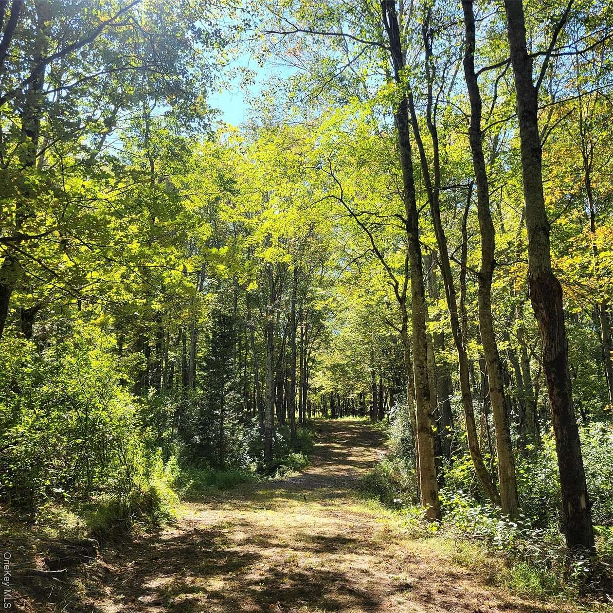 8.1 Acres of Residential Land for Sale in Swan Lake, New York