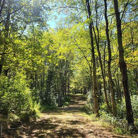 8.1 Acres of Residential Land for Sale in Swan Lake, New York