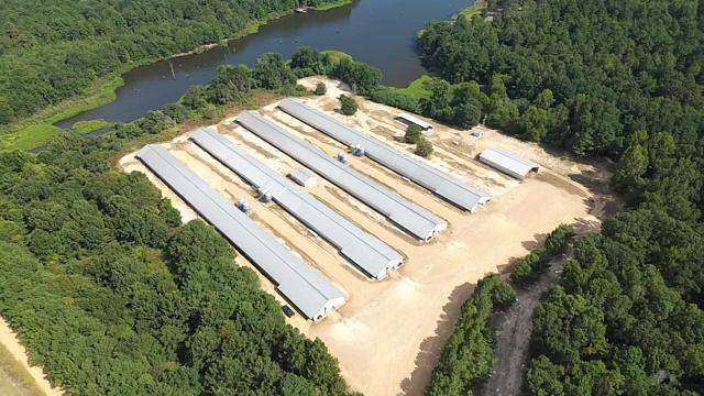 28 Acres of Improved Agricultural Land for Sale in Rosston, Arkansas