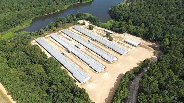 28 Acres of Improved Agricultural Land for Sale in Rosston, Arkansas