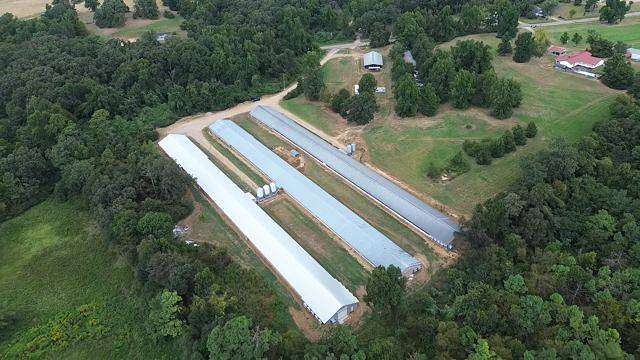 23 Acres of Agricultural Land for Sale in Star City, Arkansas