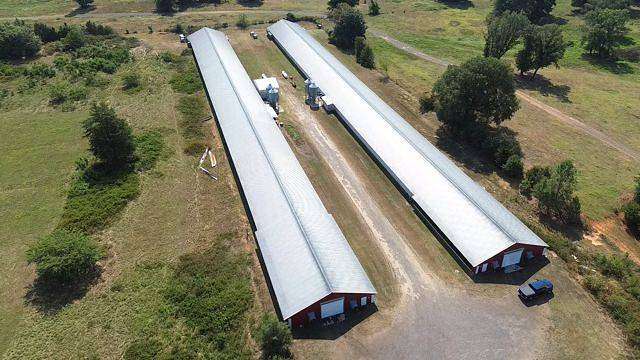 6.5 Acres of Agricultural Land for Sale in Dardanelle, Arkansas