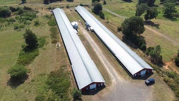 6.5 Acres of Agricultural Land for Sale in Dardanelle, Arkansas