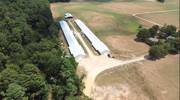 3.5 Acres of Improved Land for Sale in Rison, Arkansas