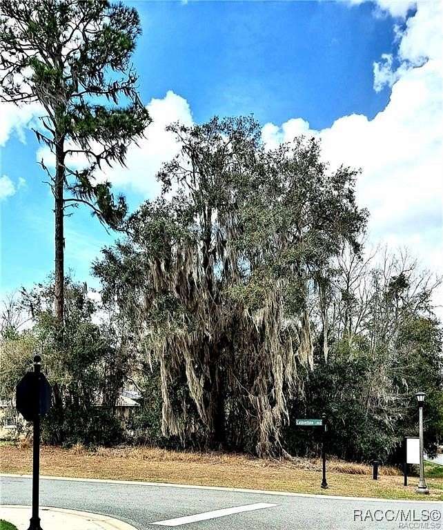 0.33 Acres of Residential Land for Sale in Hernando, Florida