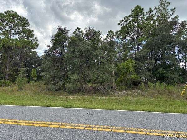 0.23 Acres of Residential Land for Sale in Dunnellon, Florida