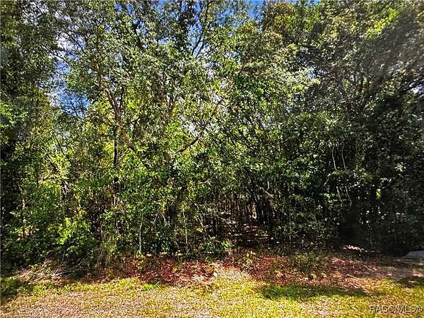 1 Acre of Residential Land for Sale in Inverness, Florida
