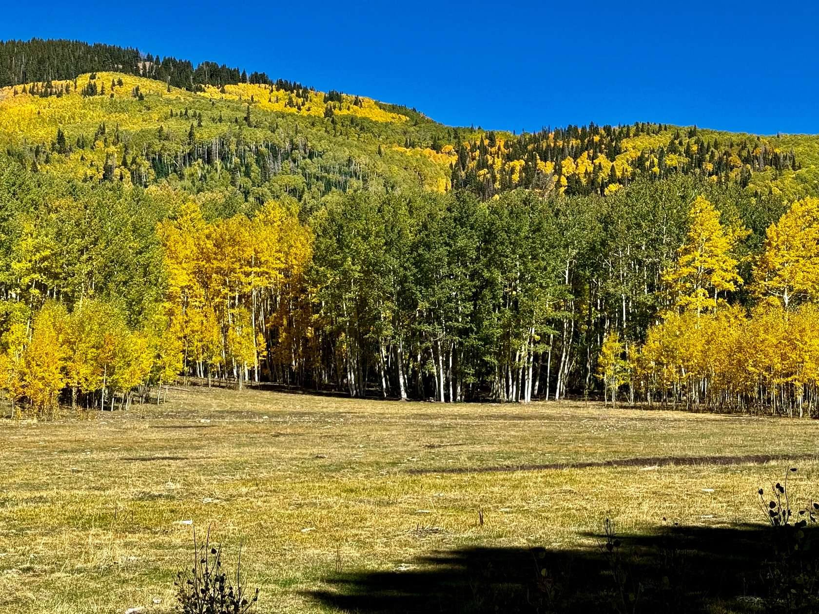 150 Acres of Land with Home for Sale in Mancos, Colorado