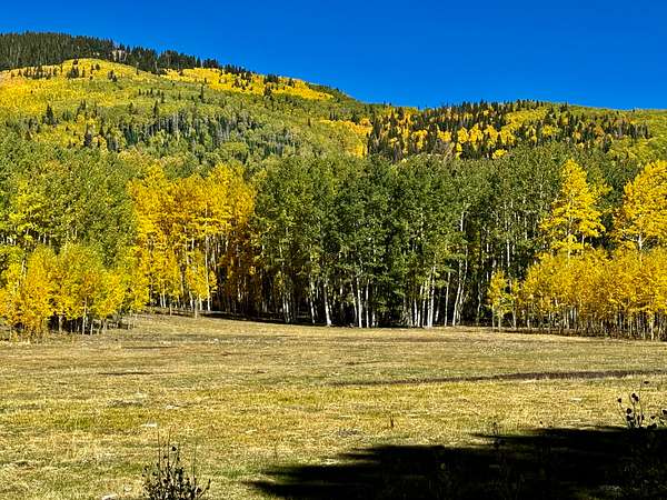 150 Acres of Land with Home for Sale in Mancos, Colorado