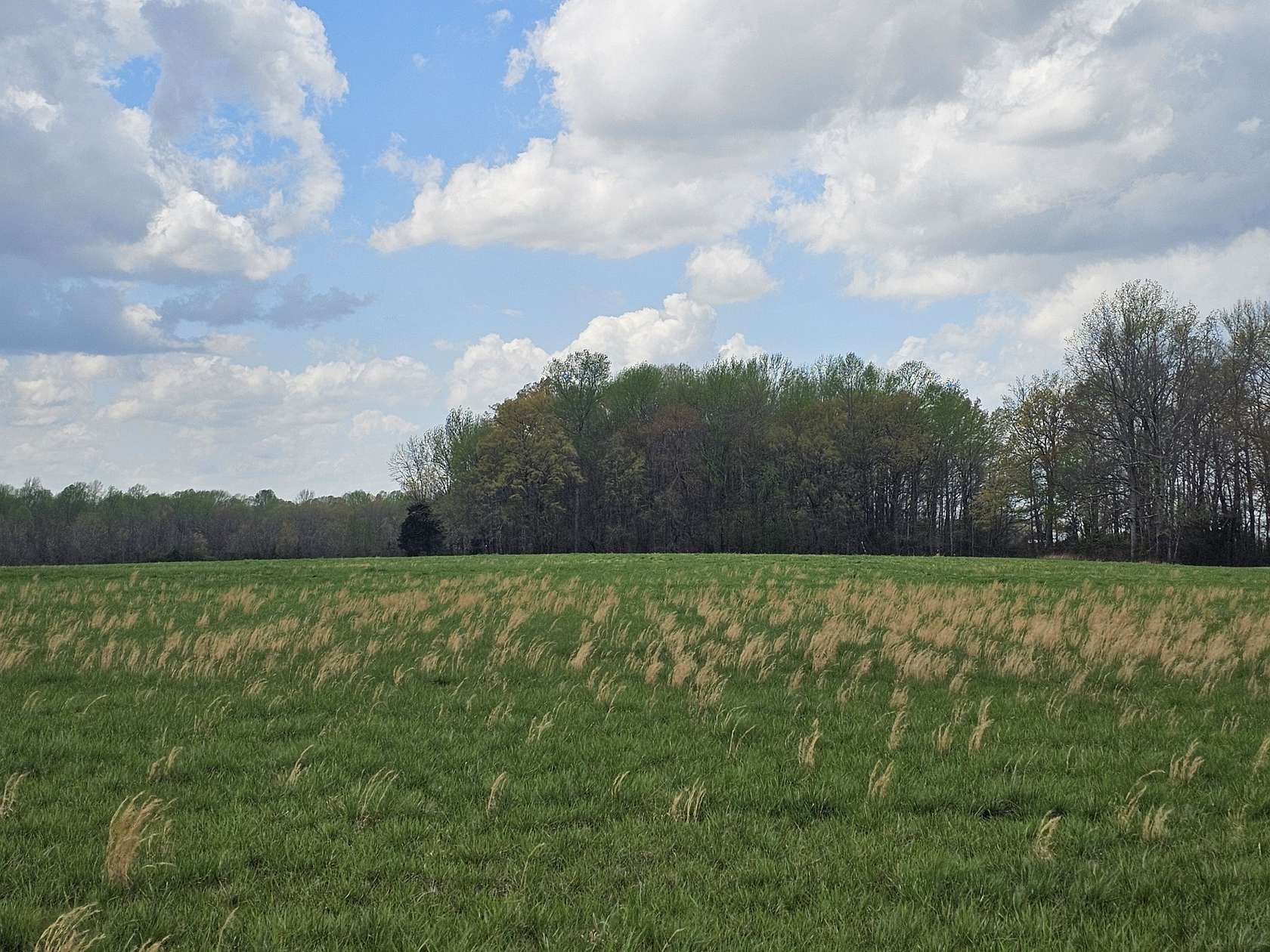 11 Acres of Land for Sale in Morrison, Tennessee