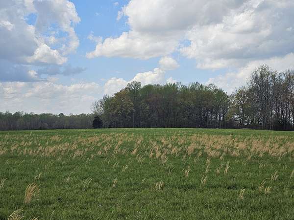 11 Acres of Land for Sale in Morrison, Tennessee