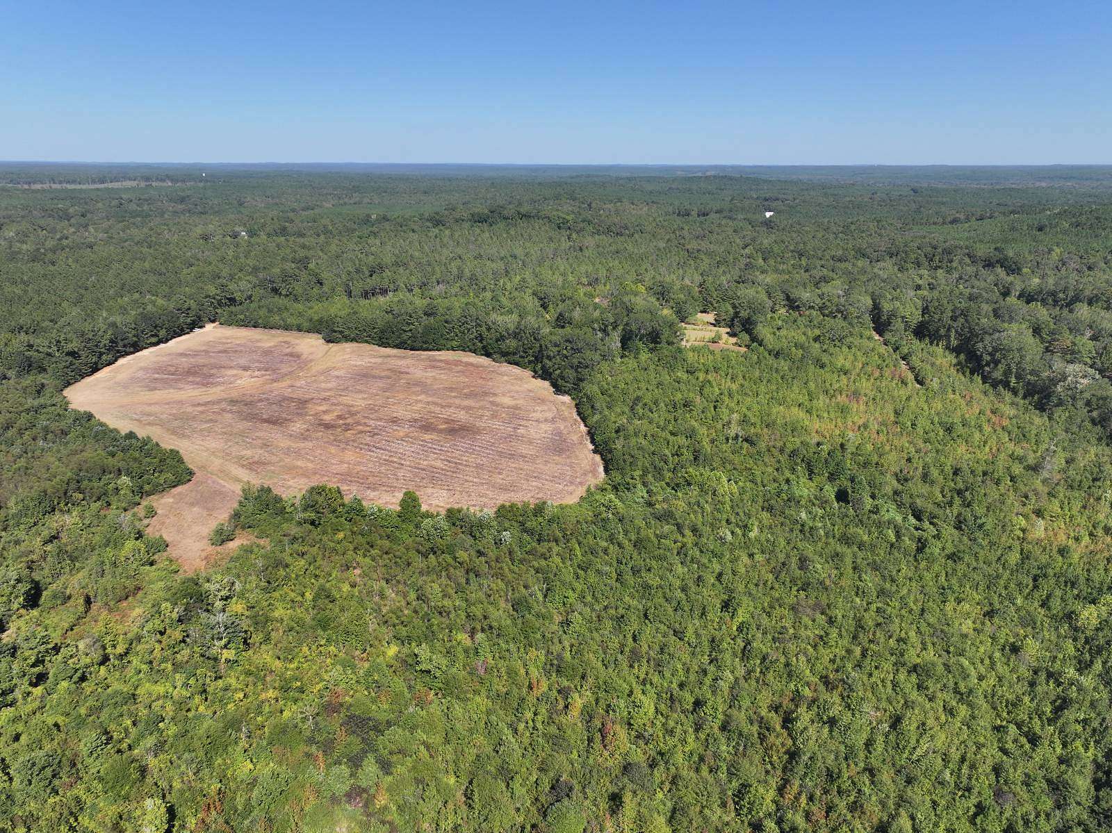 70 Acres of Land for Sale in Vernon, Alabama