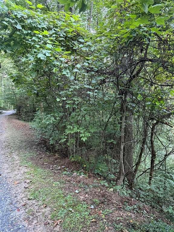0.6 Acres of Residential Land for Sale in Franklin, North Carolina