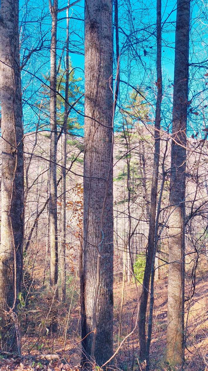 0.6 Acres of Residential Land for Sale in Franklin, North Carolina