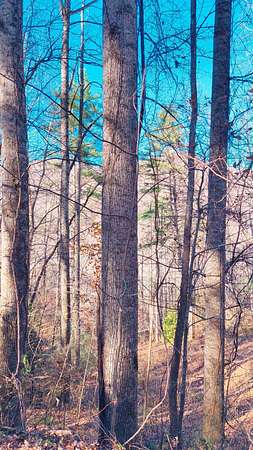 0.6 Acres of Residential Land for Sale in Franklin, North Carolina