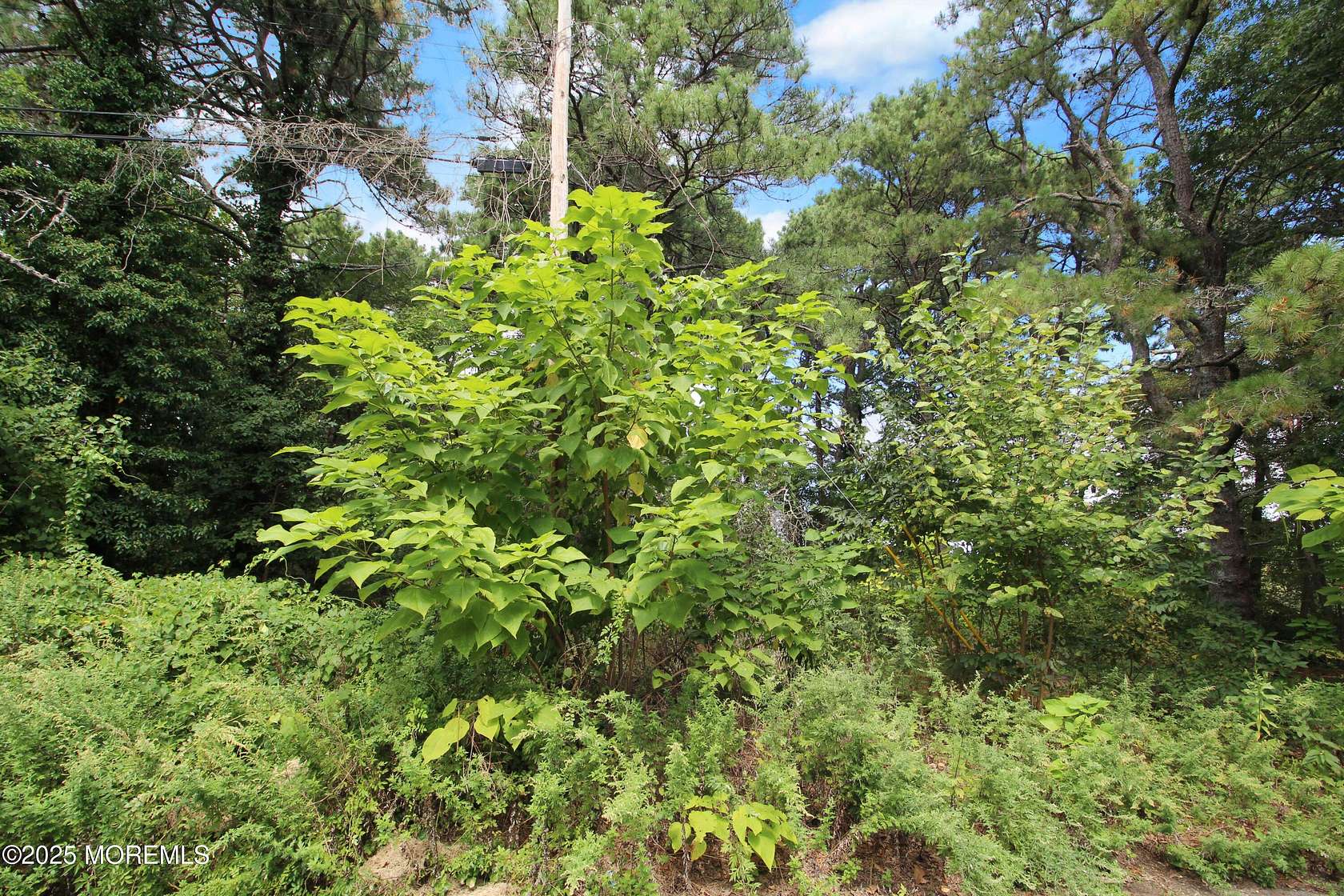 0.21 Acres of Land for Sale in Toms River, New Jersey