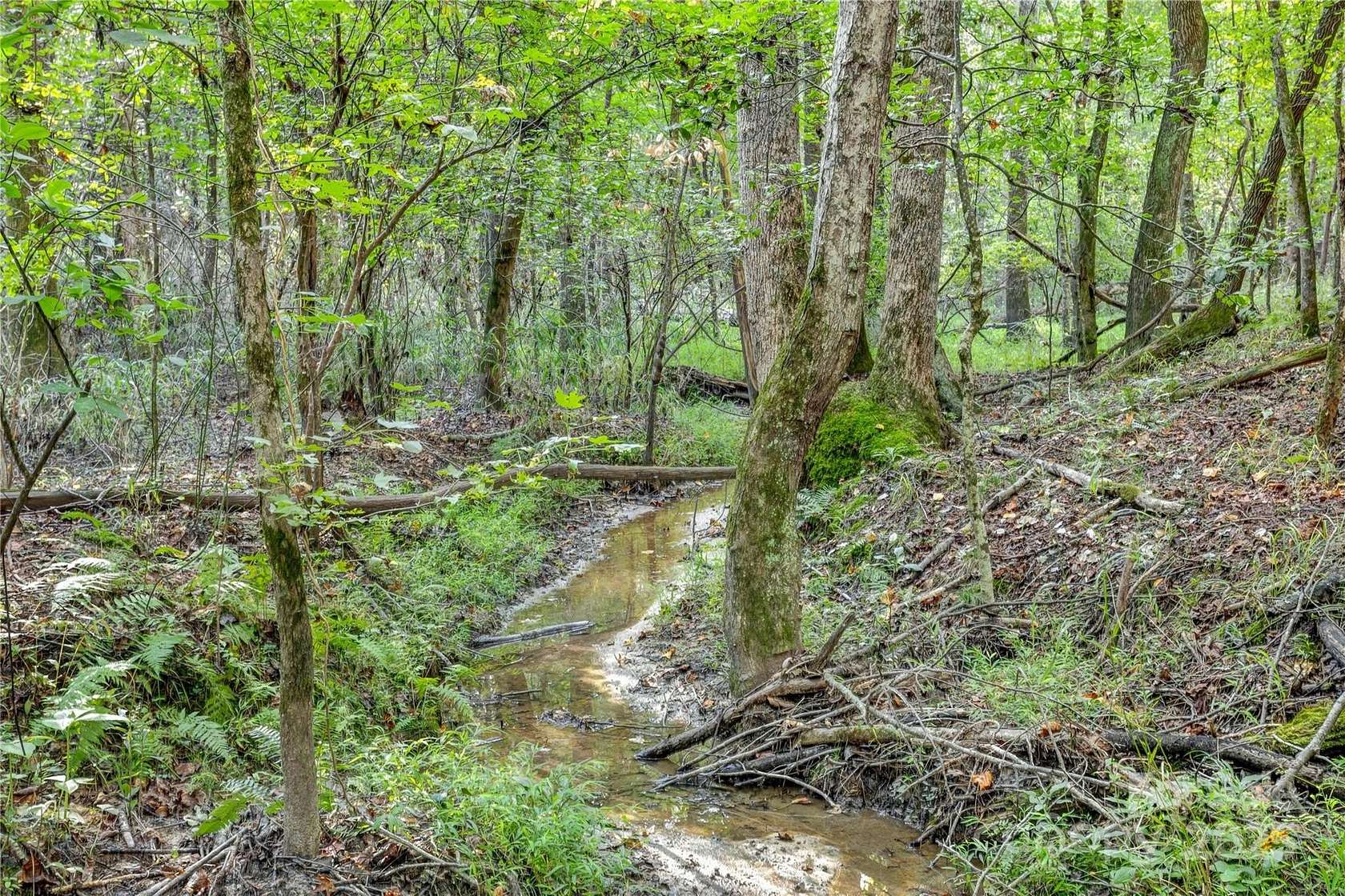 22.7 Acres of Recreational Land for Sale in Cherryville, North Carolina