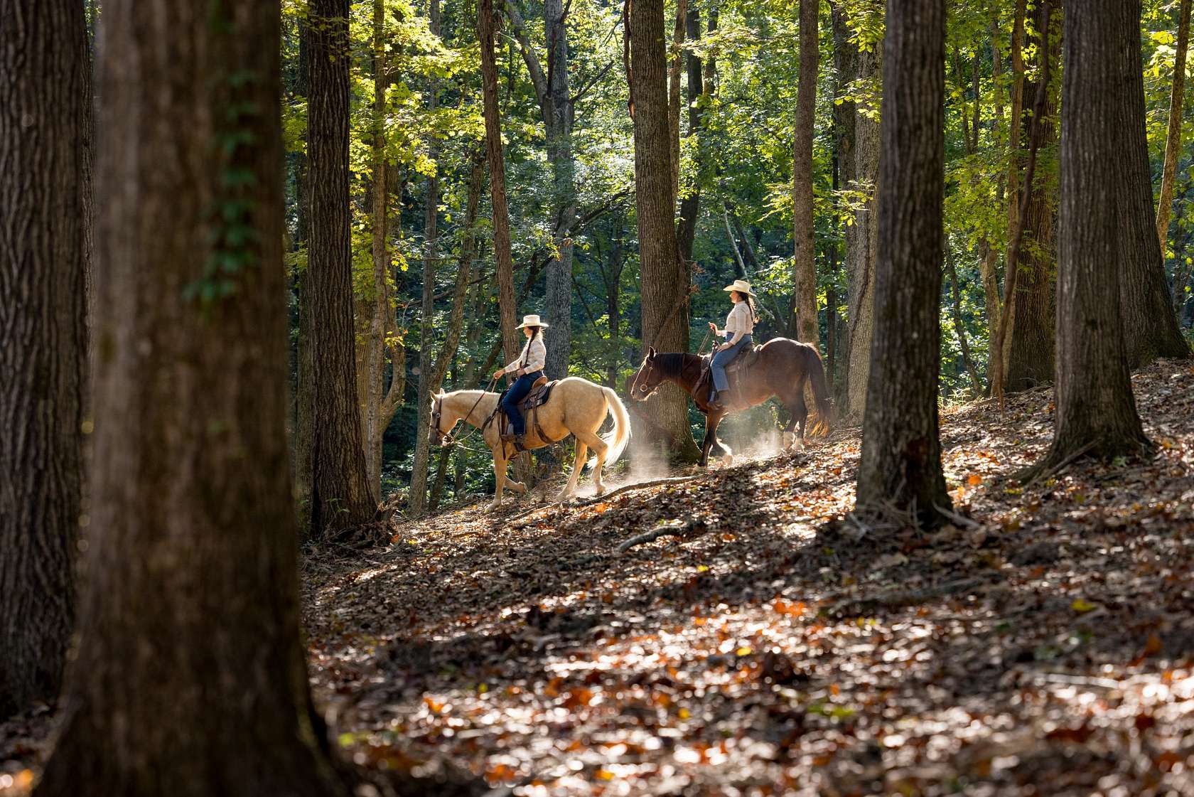 128 Acres of Recreational Land for Sale in Franklin, Tennessee