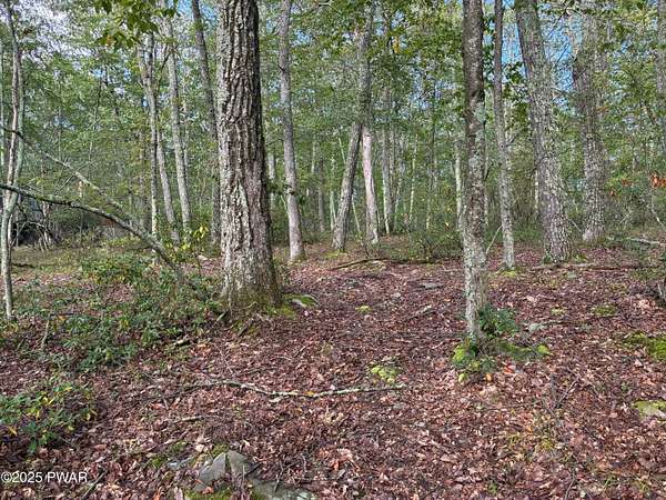 1 Acre of Residential Land for Sale in Milford, Pennsylvania