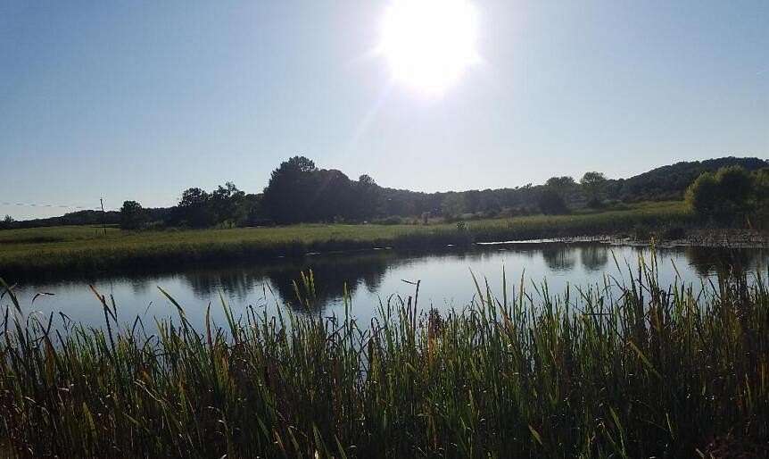 50 Acres of Recreational Land & Farm for Sale in Pikeville, Tennessee