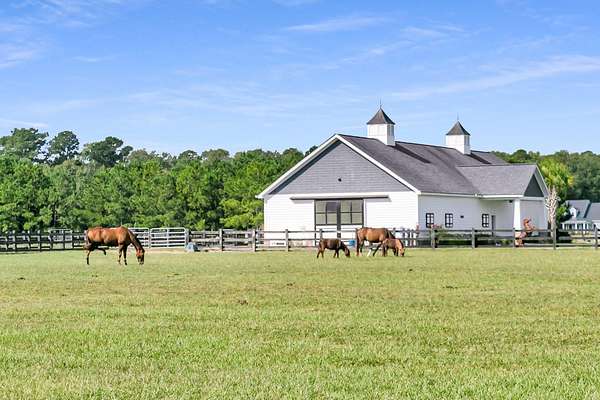 6.69 Acres of Residential Land for Sale in Ravenel, South Carolina