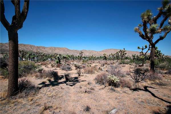 1.25 Acres of Residential Land for Sale in Yucca Valley, California