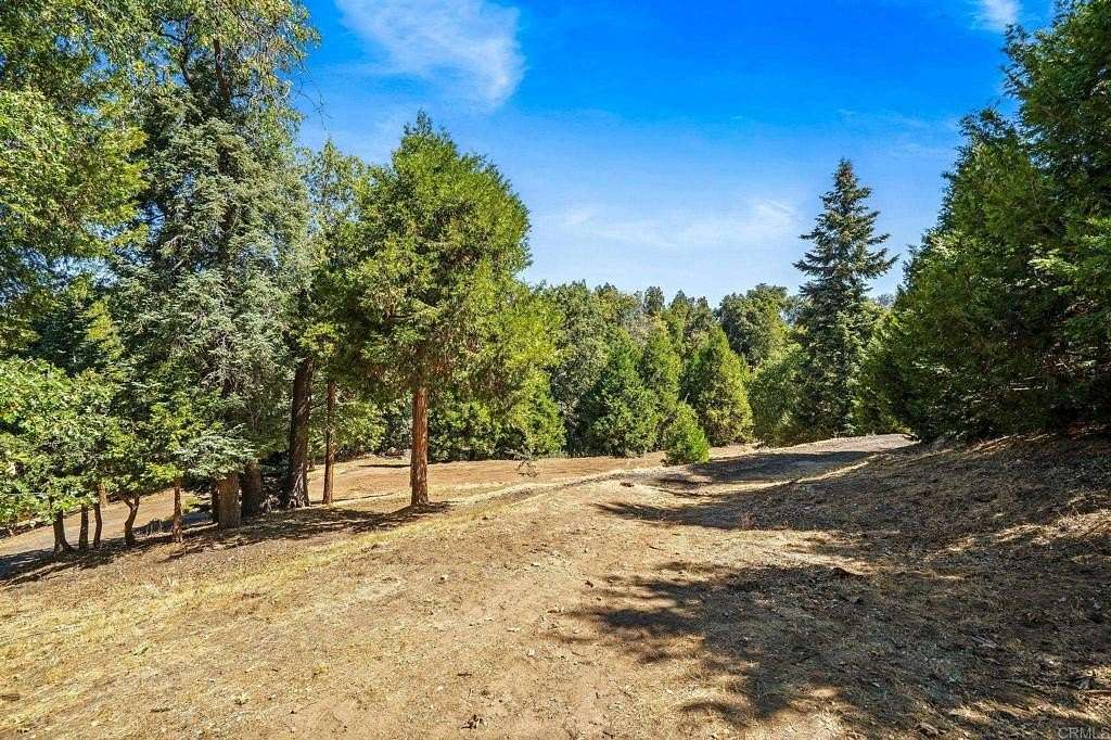 9.7 Acres of Residential Land for Sale in Palomar Mountain, California