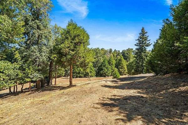 9.7 Acres of Residential Land for Sale in Palomar Mountain, California