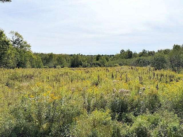 94 Acres of Land for Sale in Montville Town, Maine