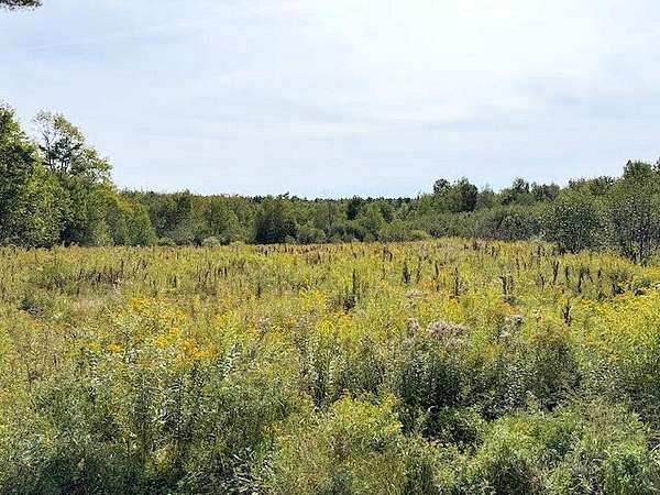 94 Acres of Land for Sale in Montville Town, Maine