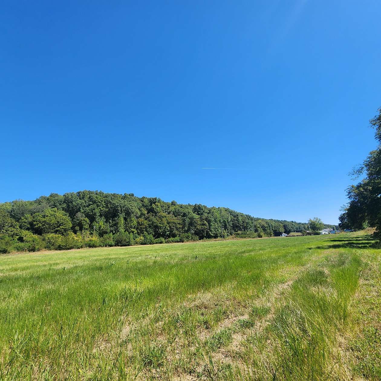 78.7 Acres of Land with Home for Sale in Bumpus Mills, Tennessee