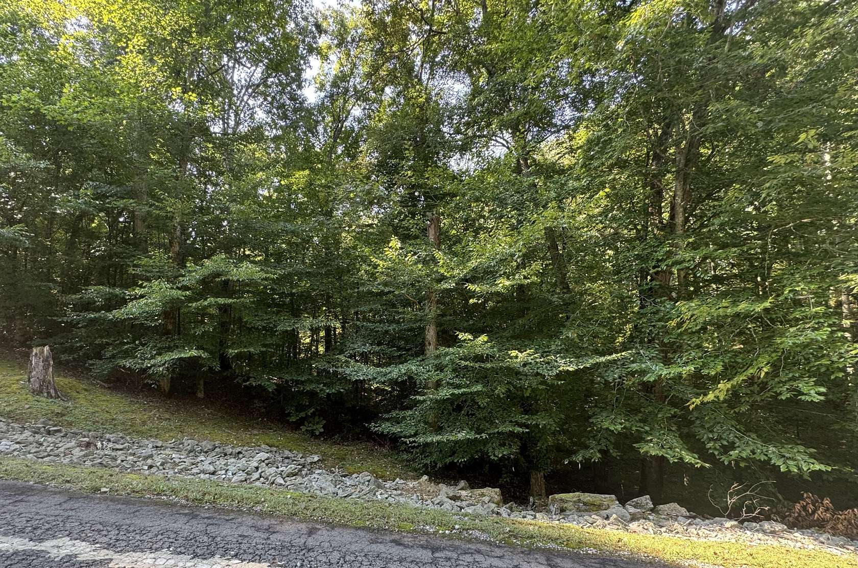 5 Acres of Residential Land for Sale in Nashville, Tennessee