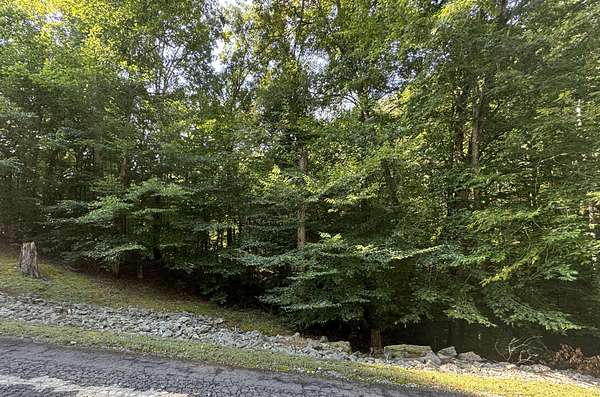 5 Acres of Residential Land for Sale in Nashville, Tennessee