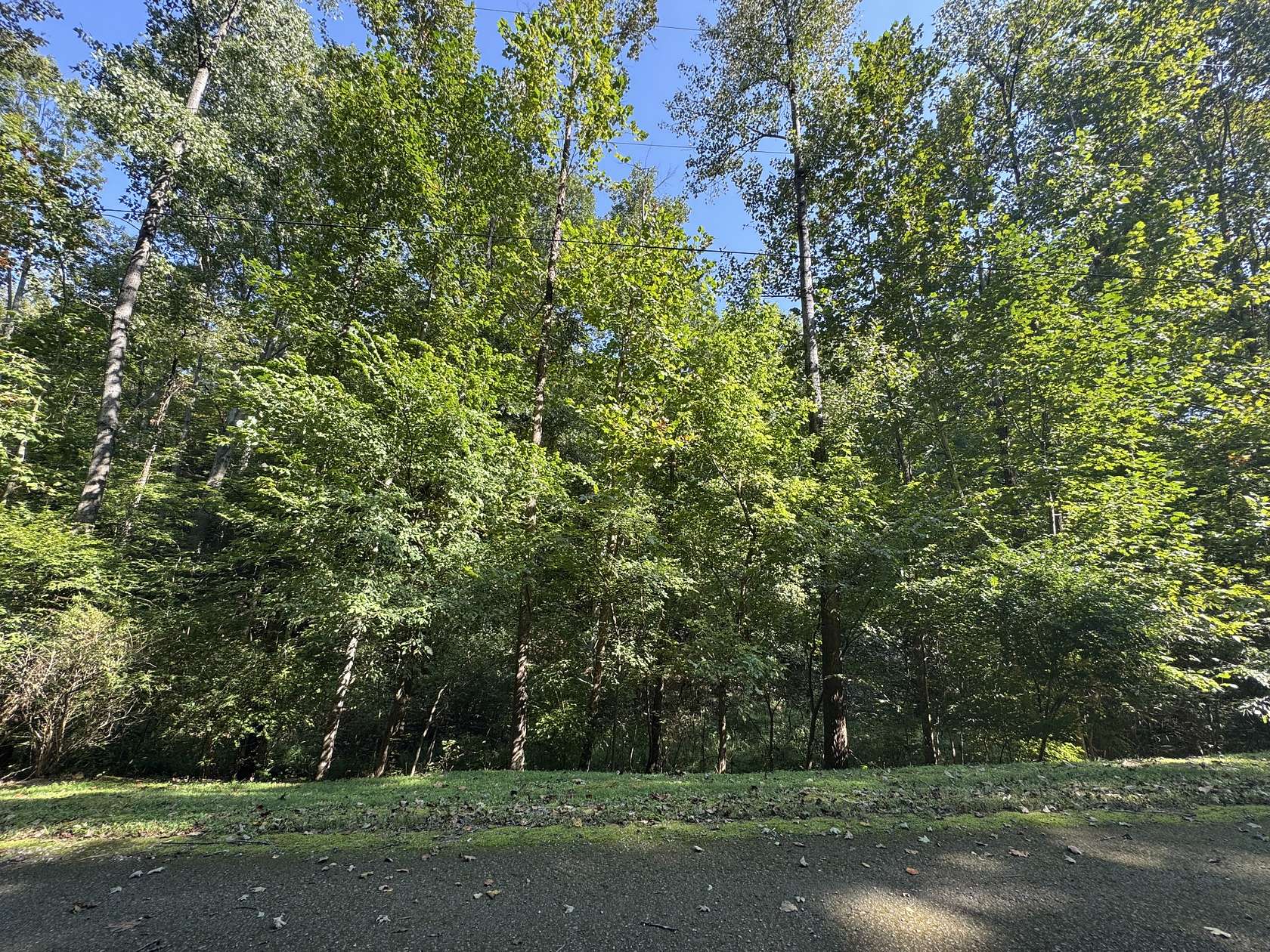 7 Acres of Residential Land for Sale in Nashville, Tennessee
