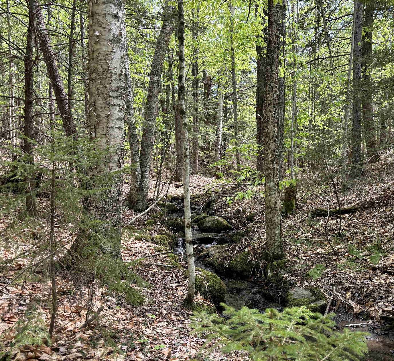 10.4 Acres of Recreational Land for Sale in Chester, Vermont