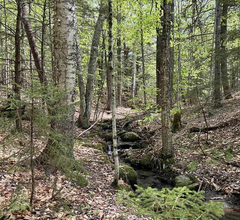 10 Acres of Recreational Land for Sale in Chester, Vermont