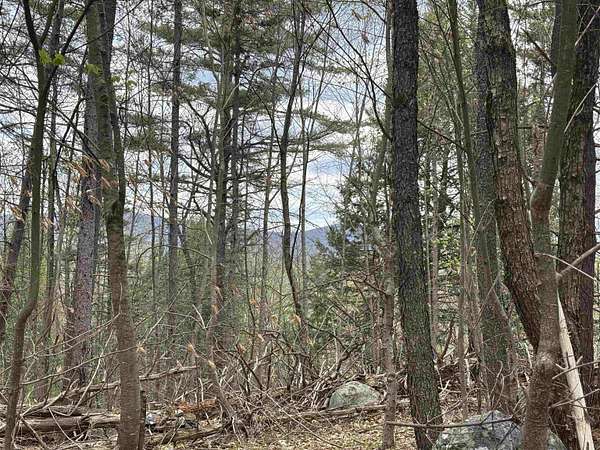 10.4 Acres of Recreational & Residential Land for Sale in Chester, Vermont